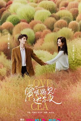 番禺seo网站优化推广